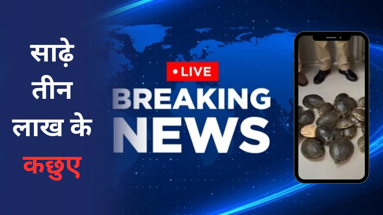 ट्रेन के महिला कोच से 35 जीवित कछुए बरामद, कीमत करीब 3.50 लाख