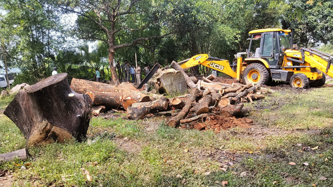 दो अवैध आरा फैक्ट्री पर वन विभाग की बड़ी कार्रवाई, दो लाख की लकड़ी जब्त