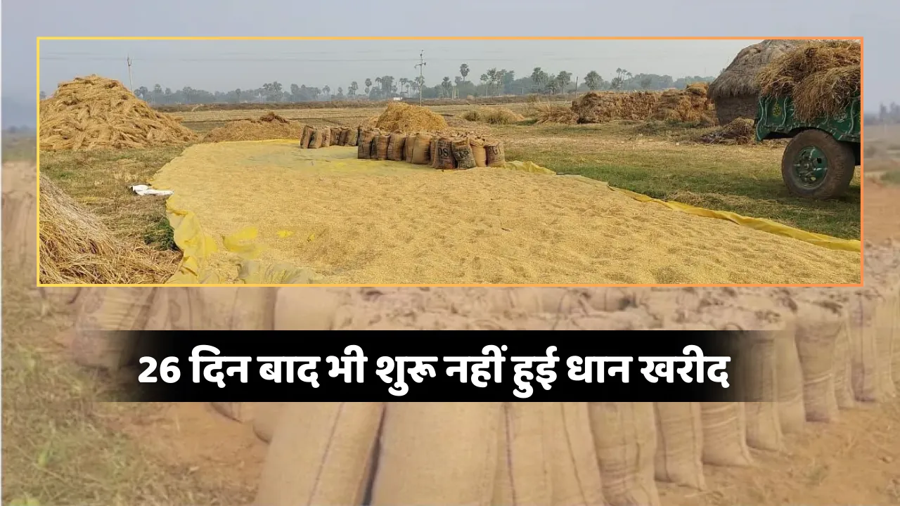 बिहार में किसान रतजगा को मजबूर ! 26 दिन बाद भी शुरू नहीं हुई धान खरीद