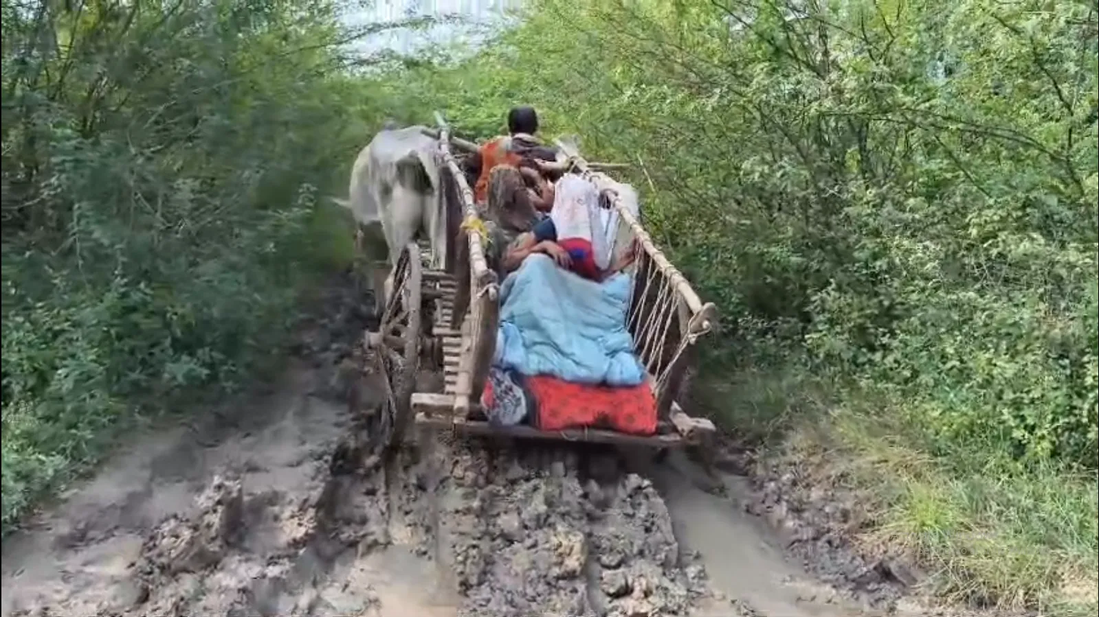 गर्भवती की चीखों ने उजागर की सिस्टम की हकीकत, आजादी के 77 साल बाद भी सड़क की आस में हैं लोग