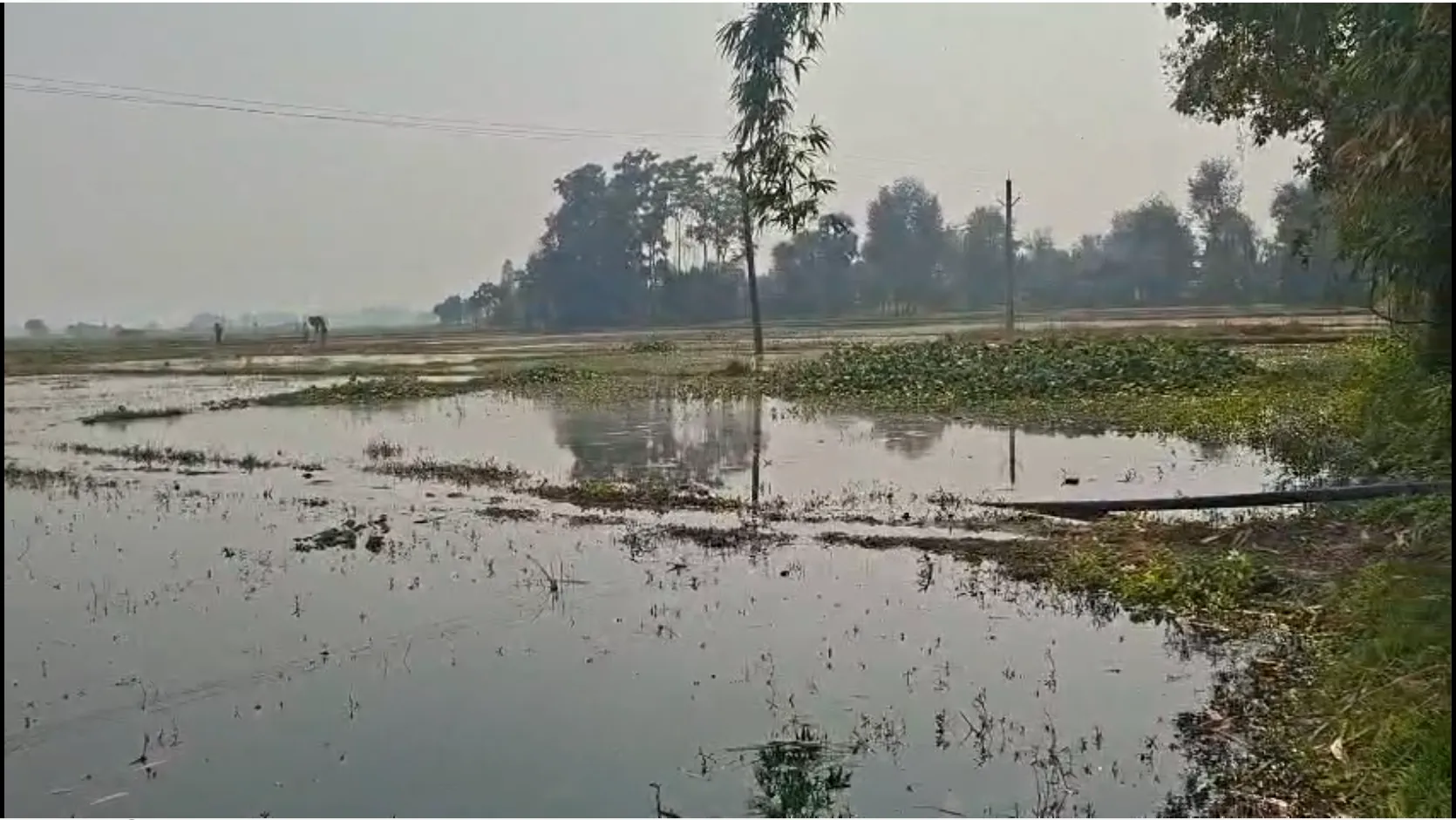 मुंगेर में मनरेगा के तहत करोड़ों का घोटाला ? नहर में अचानक पानी छोड़े जाने से बाढ़ जैसे हालात, सौ बीघा खेत जलमग्न, किसान परेशान  