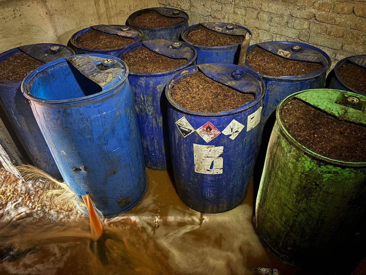 गिरिडीह उत्पाद विभाग की बड़ी कार्रवाई: जानलेवा शराब किए गए नष्ट, दो हजार किलो महुआ जब्त